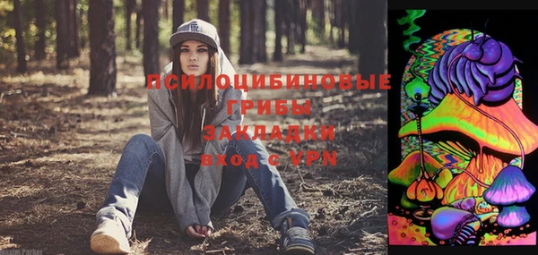 винт Алексеевка