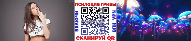 Галлюциногенные грибы прущие грибы Элиста