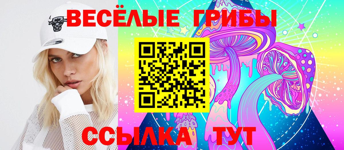 Псилоцибиновые грибы GOLDEN TEACHER Элиста