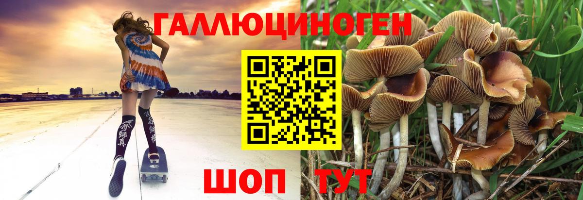 Элиста  Галлюциногенные грибы мицелий  Вход с VPN 